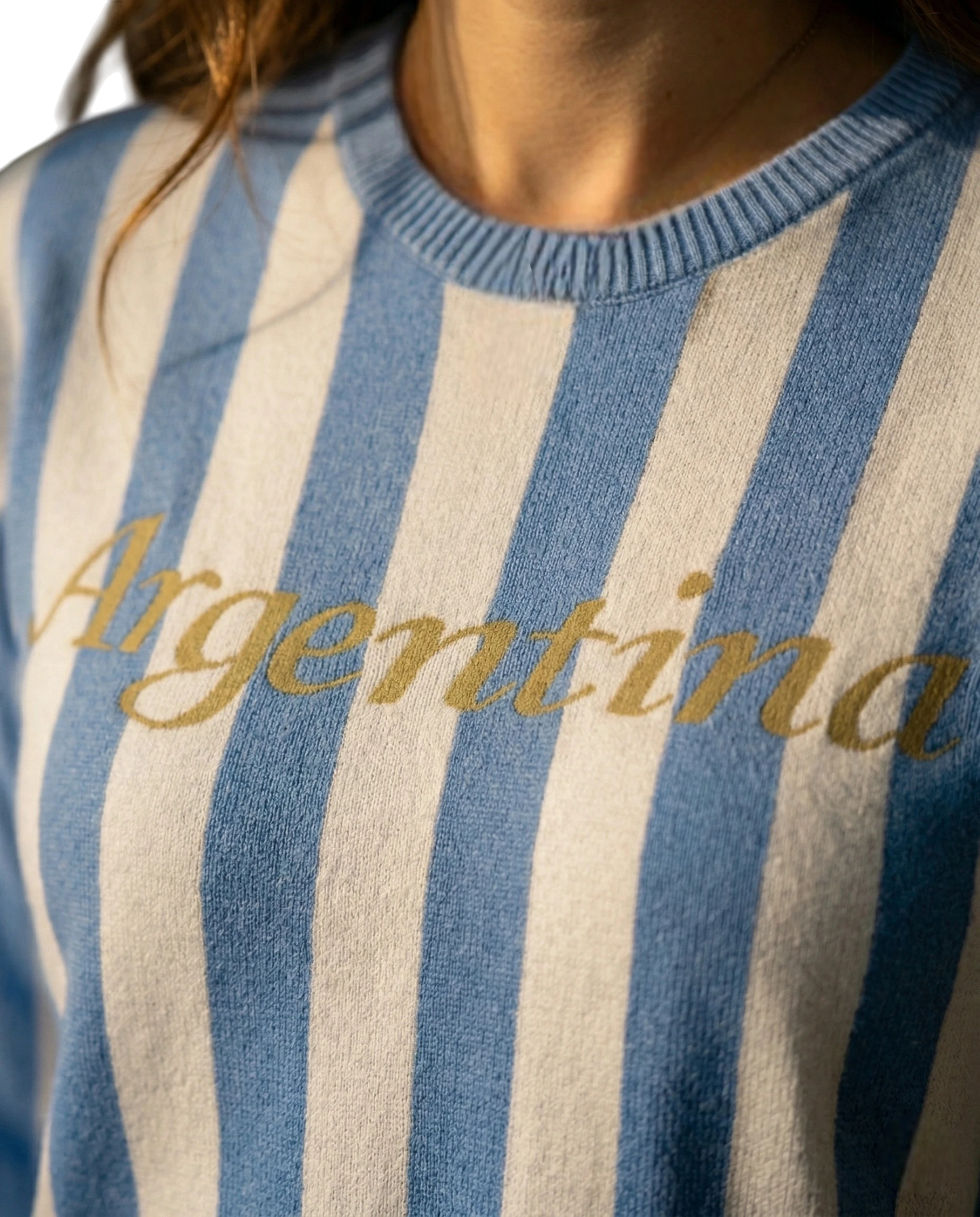 Suéter Argentina Edición Especial + Remeron